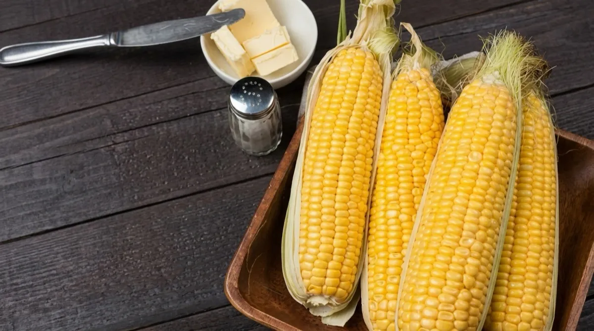 Fresh corn on a table