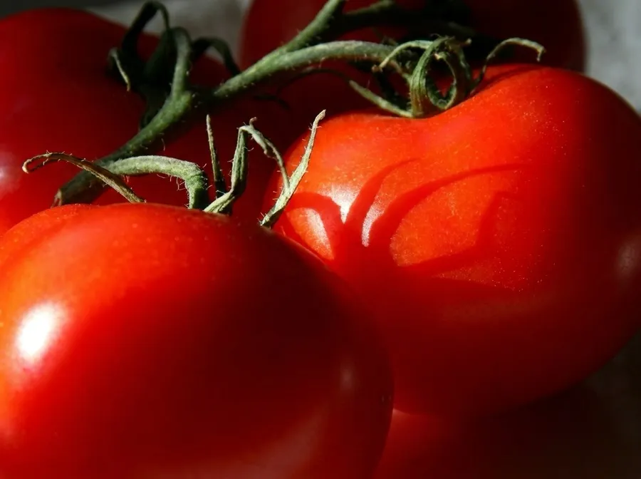 Tasti-Lee tomatoes