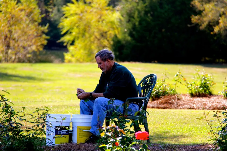 John L. Hundley shelling peas on the farm